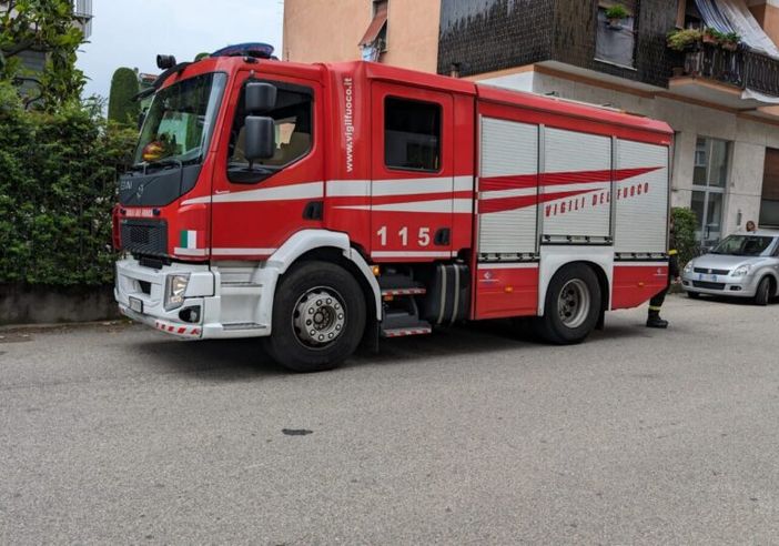 Magenta, sciame d’api in via Sanchioli recuperato dai Vigili del Fuoco