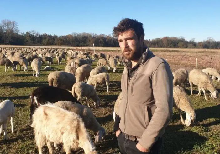 LA STORIA. Morgan e la sua vita da pastore, tra gli alpeggi e la pianura del Magentino: “Non cambierei il mio lavoro per niente al mondo”