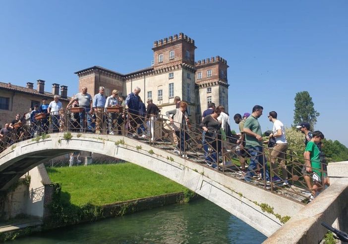 Robecco sul Naviglio: tempo splendido per San Majolo, alla fiera arriva anche la mula