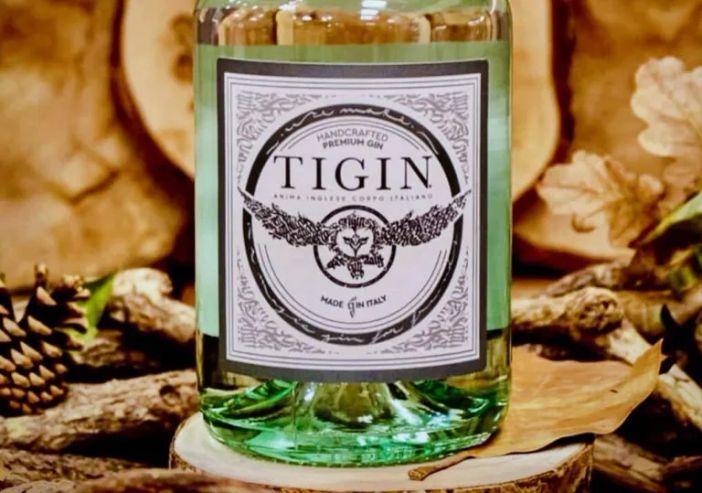 Tigin… due punto zero: cambia veste, ma nel cuore battono sempre passione ed ambizione Tigin… due punto zero: cambia veste, ma nel cuore battono sempre passione ed ambizione