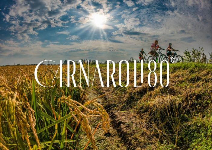 Celebrazione internazionale per gli 80 anni della nascita del Riso varietà Carnaroli Celebrazione internazionale per gli 80 anni della nascita del Riso varietà Carnaroli