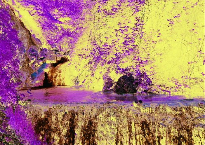 Carlsberg Italia verso l'obiettivo &quot;zero sprechi&quot; d'acqua entro il 2030