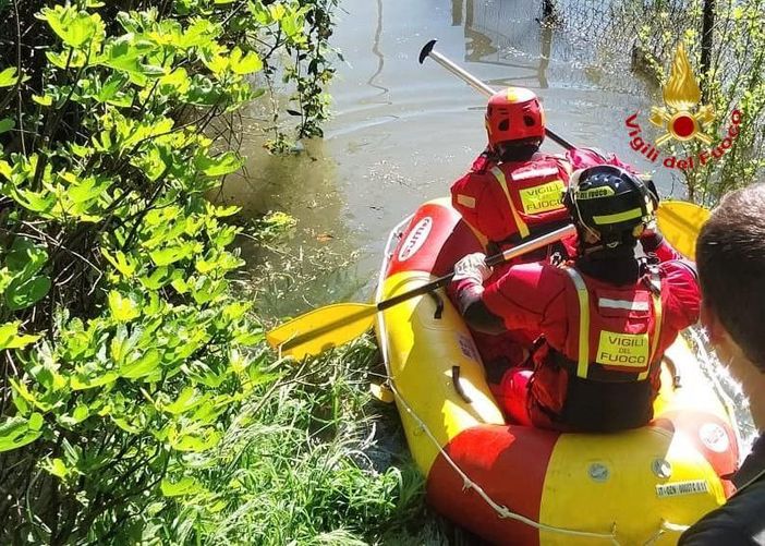 Pavia, via Don Bosco: i Vigili del fuoco salvano un cane bloccato dall’esondazione