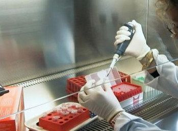 Vaccino Pfizer, via libera in Europa entro fine anno Vaccino Pfizer, via libera in Europa entro fine anno