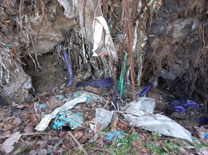 Gambolò: scoperti rifiuti speciali interrati in un'area boschiva di 4.500 metri quadrati