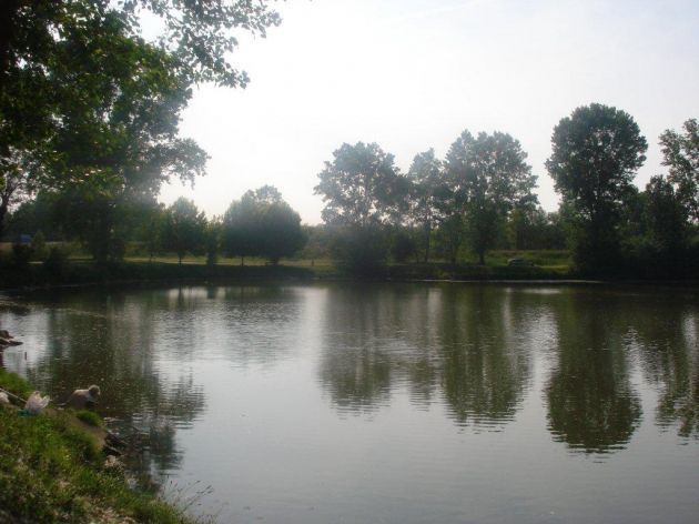 Pavia: annega un 47enne mentre fa il bagno all'interno di una lanca