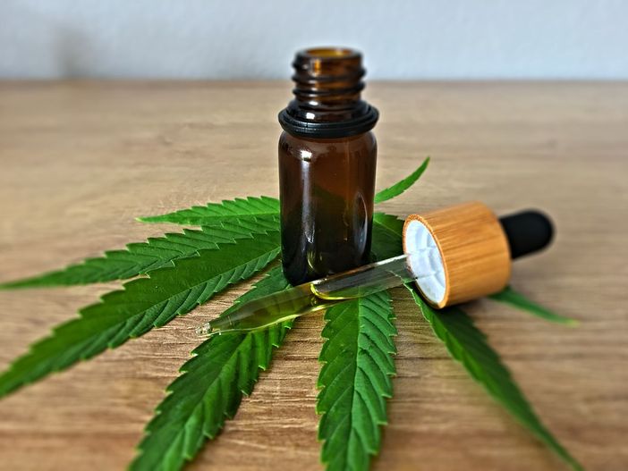 Limiti di THC nella cannabis light: cosa prevede la normativa Limiti di THC nella cannabis light: cosa prevede la normativa