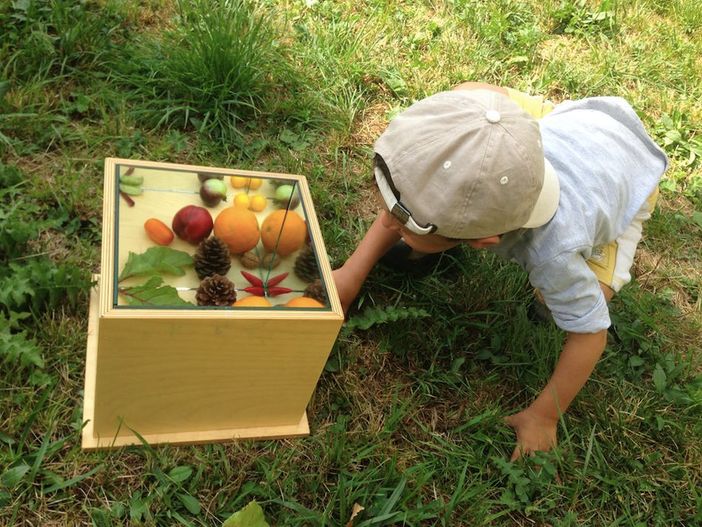 Orti botanici della Lombardia: aule educative all’aperto