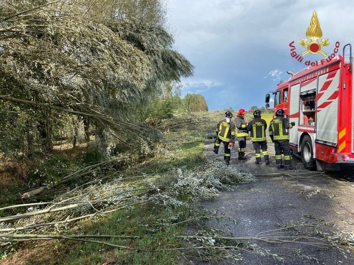 - (VIDEO) - Pavese flagellato dal maltempo, diversi interventi dei Vigili del fuoco