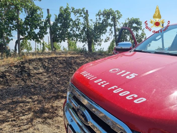 Montescano: incendio di sterpaglie, danneggiato parzialmente un vigneto