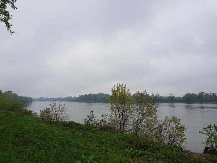 Fiume Po: piogge per un parziale ristoro dei territori, ma non basta Fiume Po: piogge per un parziale ristoro dei territori, ma non basta