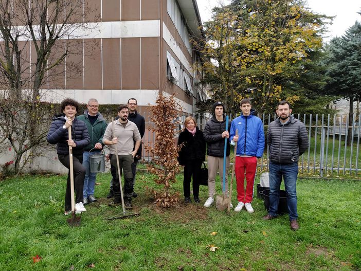 Broni: Giornata dell’Albero, messa a dimora una nuova pianta davanti al liceo