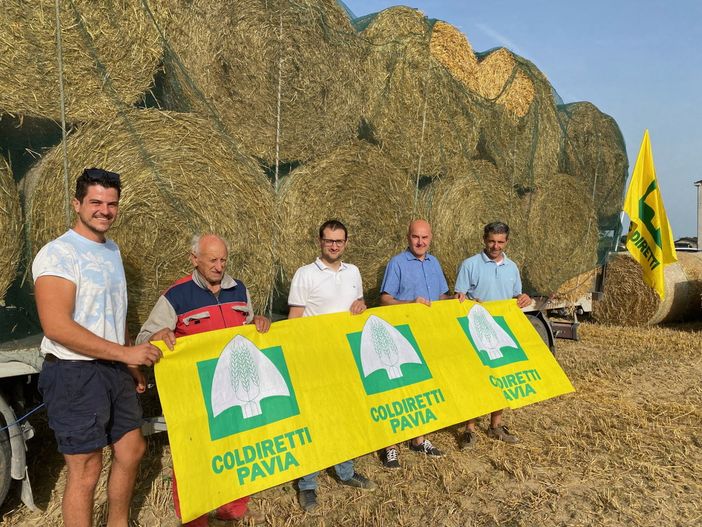 Alluvione, da Pavia 300 quintali di fieno per gli allevamenti dell’Emilia Romagna