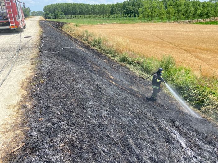 Suardi: sterpaglie in fiamme sull'argine, intervengono i Vigili del fuoco