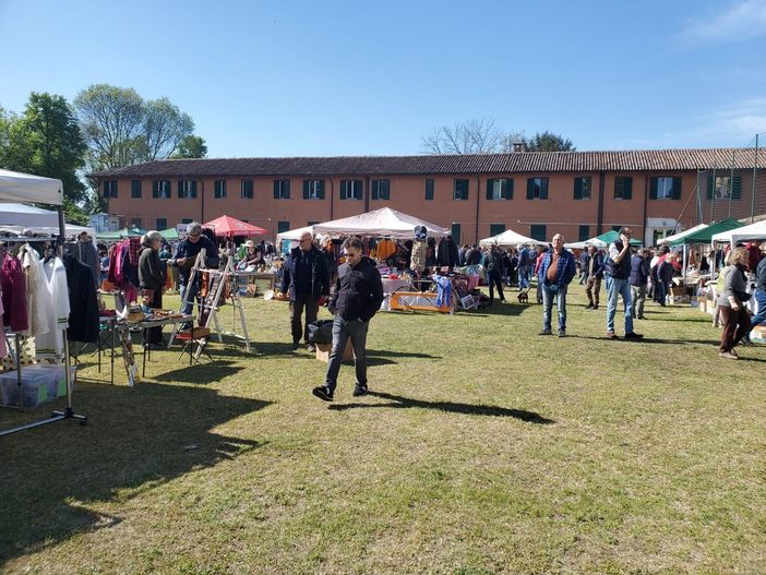 Domenica 21 Maggio torna a Pavia l’appuntamento con la sostenibilità: all’allea di viale Matteotti il Mercatino del Ri-Uso nuova vita alle cose