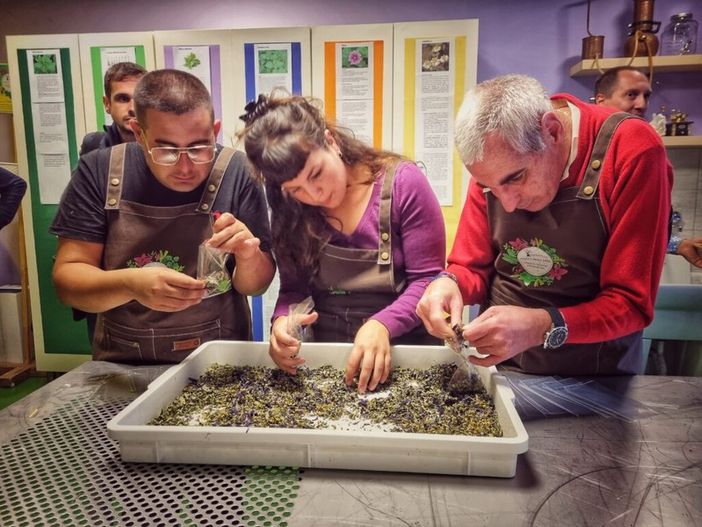 Inaugurata a Galliate la 'Piazza delle Erbe' Inaugurata a Galliate la 'Piazza delle Erbe'