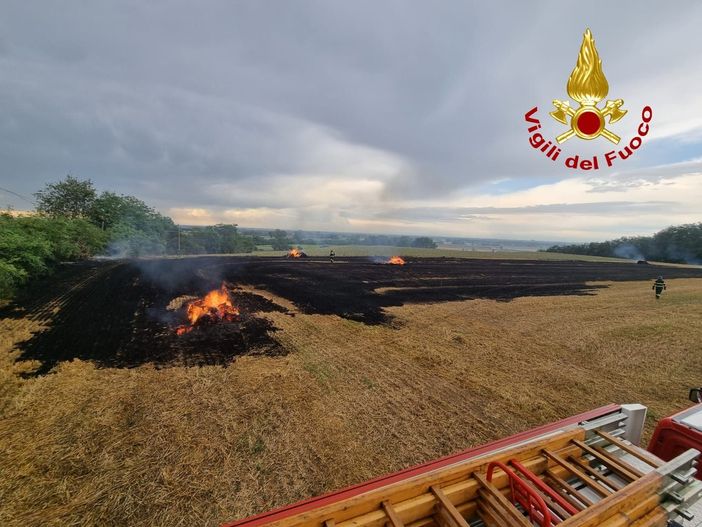 Broni: incendio di sterpaglie in un campo di frumento, intervengono i Vigili del fuoco