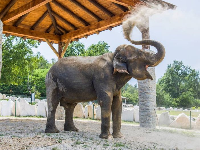 Grandi appuntamenti, iniziative e novità: il programma autunnale del Safari Park Lago Maggiore