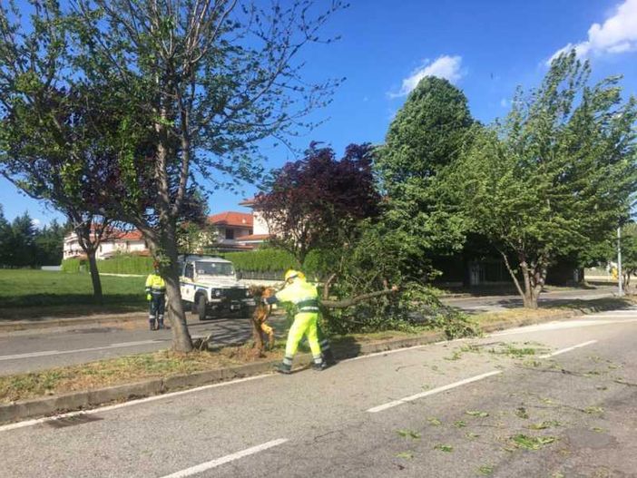Allerta vento forte in Lombardia