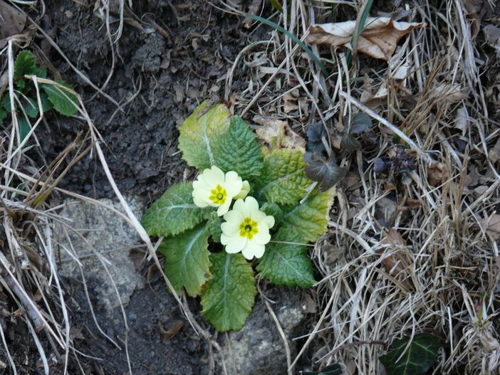 Sabato 18 gradi con vento, domenica 15... e lunedì notte arriva la pioggia