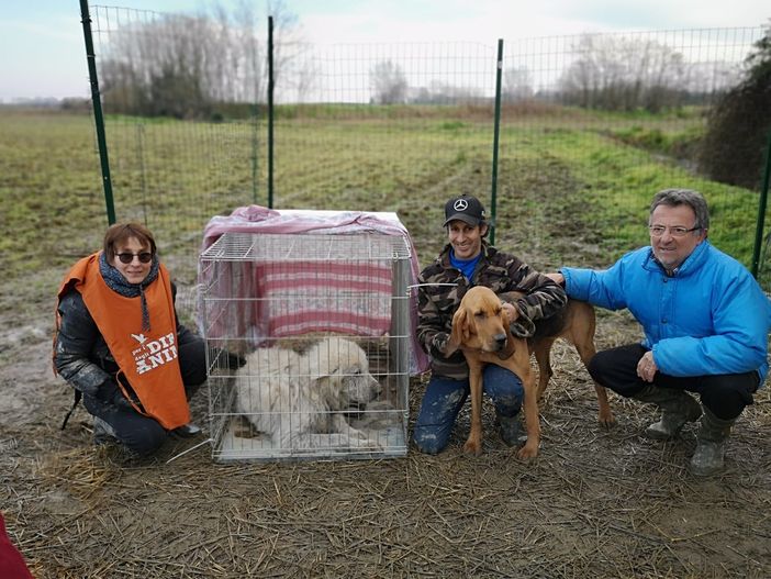 Dorno: tornano in azione i volontari di "Facciamo Dorno pulita" Dorno: tornano in azione i volontari di "Facciamo Dorno pulita"
