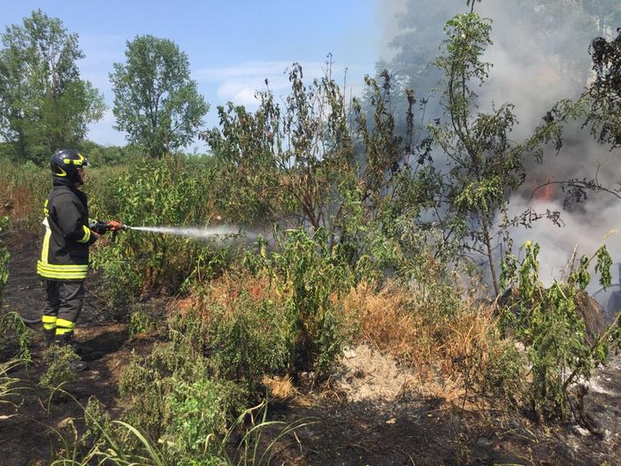 Siccità estiva, Vigili del fuoco impegnati a domare gli incendi delle sterpaglie