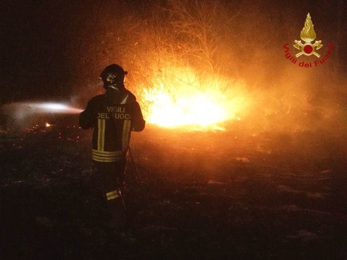 Mede: vasto incendio in un canneto domato dai Vigili del fuoco