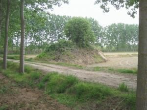 LOMELLINA AMBIENTE - I Dossi - LOMELLINA AMBIENTE - I Dossi -