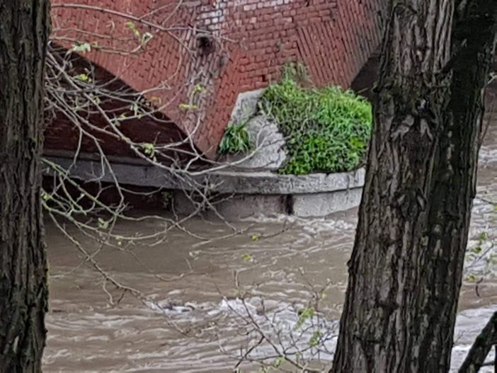 - (FOTO e VIDEO) - La situazione attuale di Po e Agogna tra Lomello e Pieve del Cairo