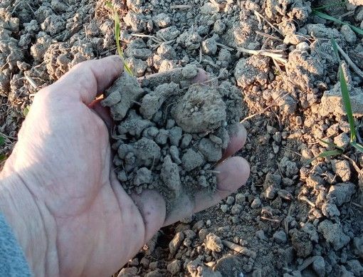 Siccità: Lombardia invia al Governo richiesta di stato di emergenza