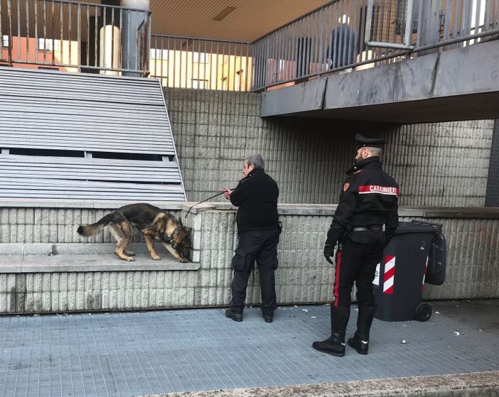 Pavia: denunciato un 18enne e segnalati altri otto giovani consumatori di stupefacenti, durante un controllo dei carabinieri in alcune scuole superiori cittadine Pavia: denunciato un 18enne e segnalati altri otto giovani consumatori di stupefacenti, durante un controllo dei carabinieri in alcune scuole superiori cittadine