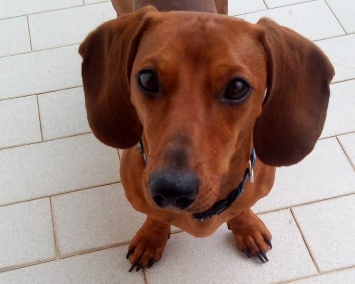 foto generica di repertorio