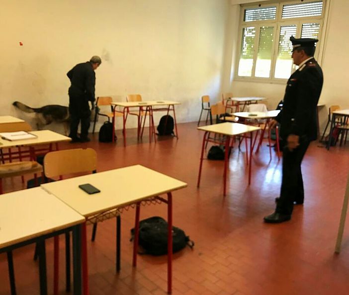 Pavia: trovato con 15 grammi di hashish a scuola, arrestato un 17enne Pavia: trovato con 15 grammi di hashish a scuola, arrestato un 17enne