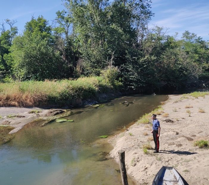Alagna: rinvenuto un cadavere in avanzato stato di decomposizione sulle sponde del torrente Terdoppio Alagna: rinvenuto un cadavere in avanzato stato di decomposizione sulle sponde del torrente Terdoppio