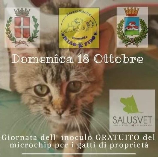 Domenica Microchip gratuiti per i gatti di Trecate Domenica Microchip gratuiti per i gatti di Trecate
