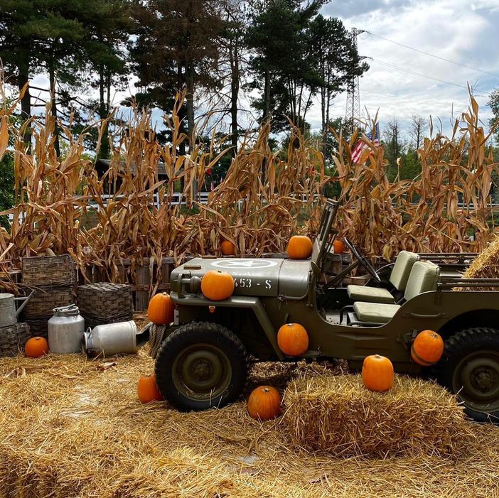 San Martino Siccomario: sabato 16 e domenica 17 ottobre al Villaggio delle Zucche è tempo di magia!