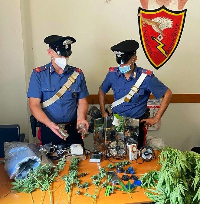 Cava Manara: serra di marijuana artigianale a domicilio, denuciata una coppia