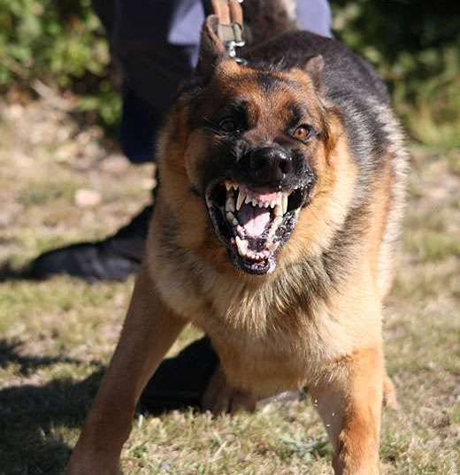 foto d'archivio foto d'archivio