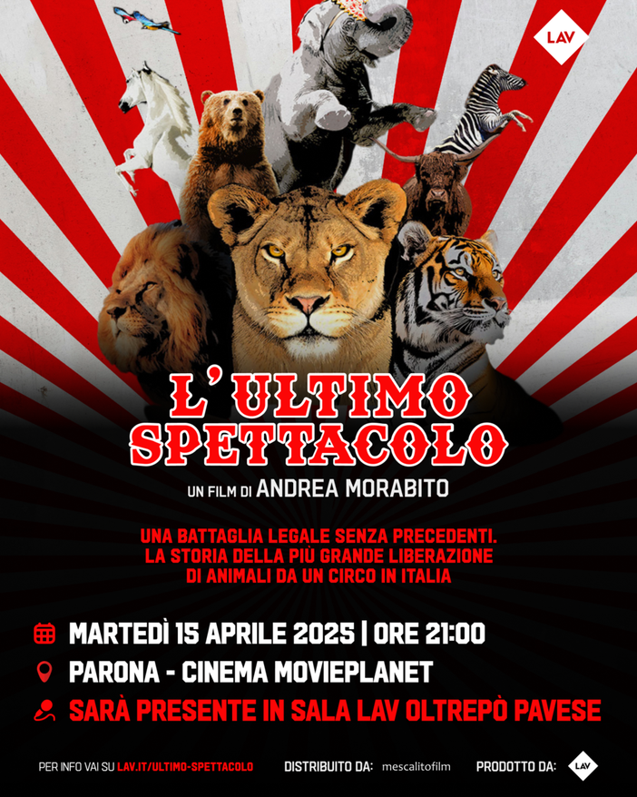 "L'ultimo spettacolo - storia di una liberazione" di Andrea Morabito arriva nelle sale del cinema Movieplanet di Parona il 15 aprile