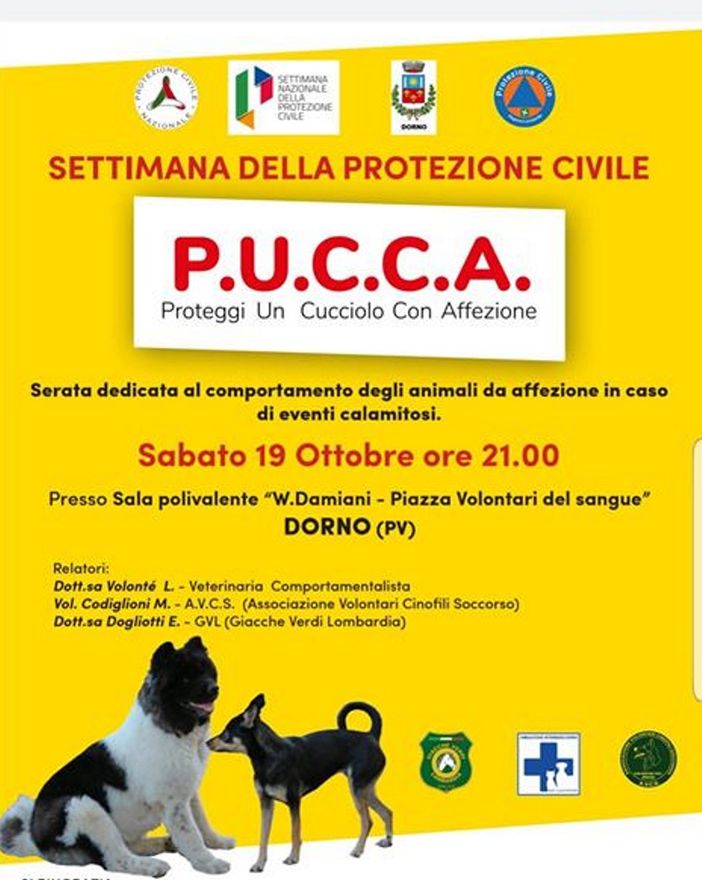 Dorno, serata dedicata agli animali di affezione nei momenti delle calamità naturali