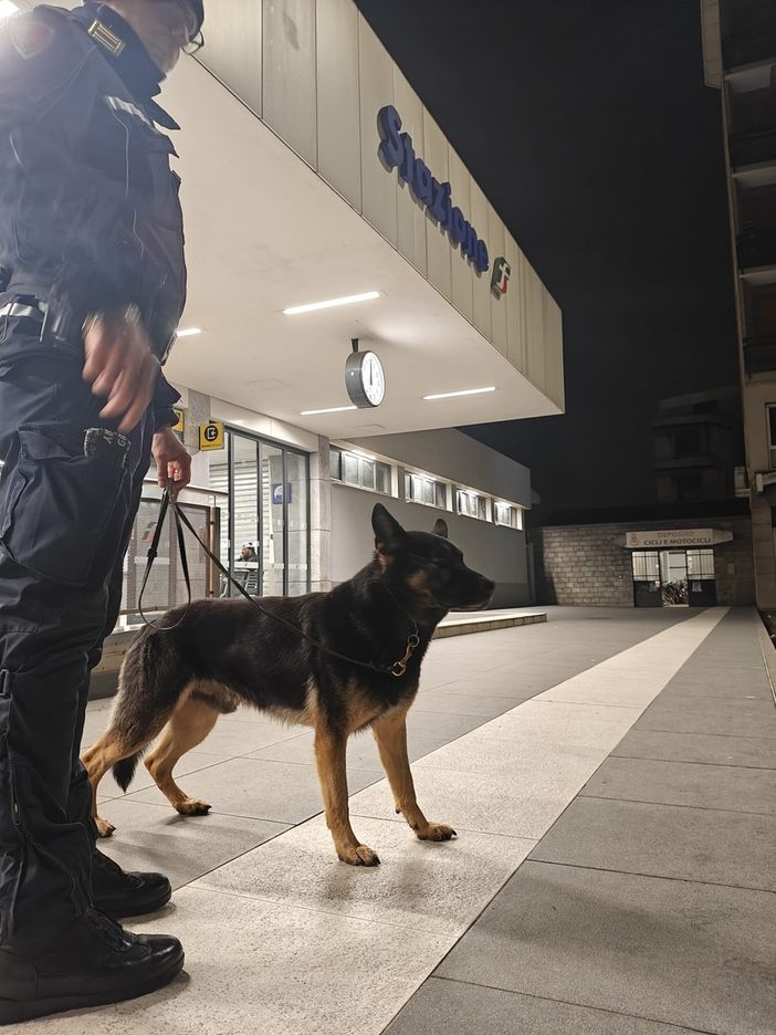 Sicurezza in provincia: in settimana tre operazioni di controllo straordinario del territorio tra Pavia e Vigevano. Rafforzati i presidi nelle aree sensibili e nei luoghi della movida