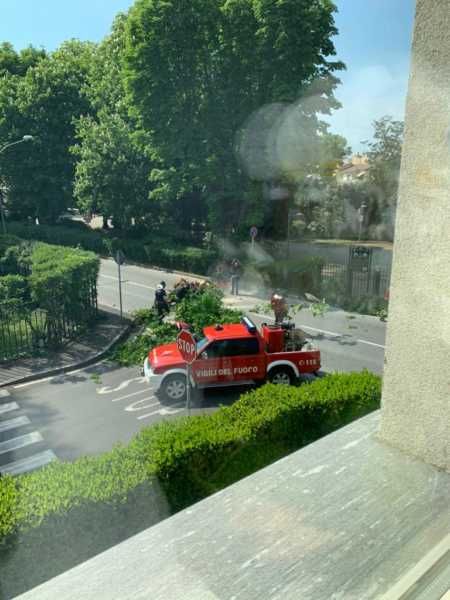 Magenta: tragedia sfiorata in via Brocca, si stacca un grosso ramo e piomba sulla strada