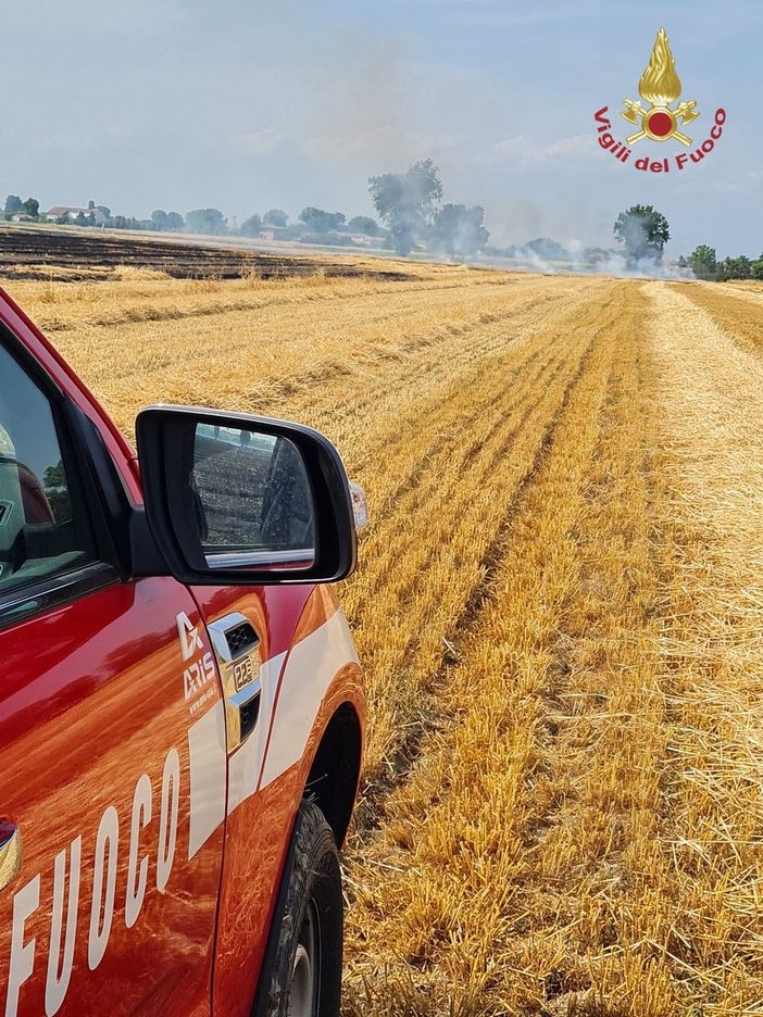 Pinarolo Po: incendio in un campo di grano trebbiato e sterpaglie. Vigili del fuoco in azione per domare le fiamme Pinarolo Po: incendio in un campo di grano trebbiato e sterpaglie. Vigili del fuoco in azione per domare le fiamme