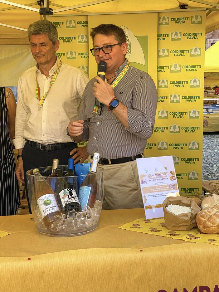 Clima, scatta in ritardo la raccolta del riso: -10% produzione anche in provincia di Pavia