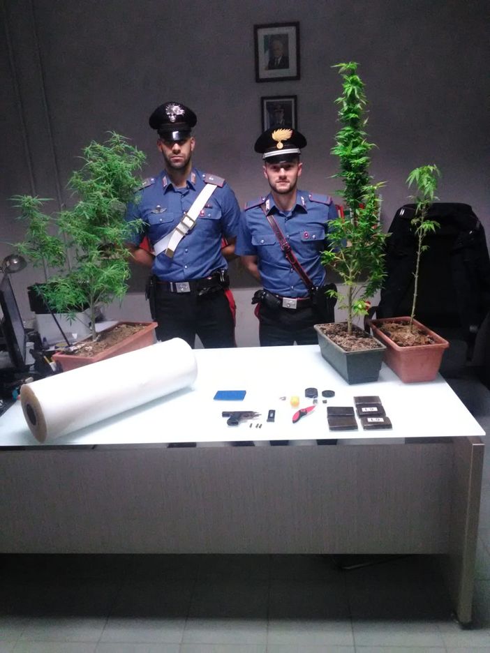 Sannazzaro de' Burgondi: arrestata coppia di spacciatori con oltre mezzo chilo di hashish, piante di marjuana e una pistola Sannazzaro de' Burgondi: arrestata coppia di spacciatori con oltre mezzo chilo di hashish, piante di marjuana e una pistola