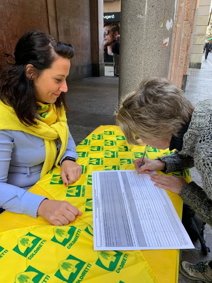 Consumi, ecco gli “etichetta days”: anche a Pavia puoi firmare per dire STOP ai falsi nel piatto Consumi, ecco gli “etichetta days”: anche a Pavia puoi firmare per dire STOP ai falsi nel piatto