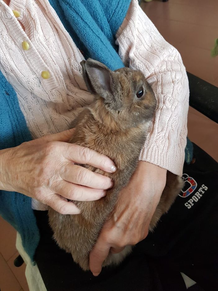 Rivanazzano Terme: un ospite inatteso ed emozionante nella Rsa “Villa Pitti” di “Sereni Orizzonti” Rivanazzano Terme: un ospite inatteso ed emozionante nella Rsa “Villa Pitti” di “Sereni Orizzonti”