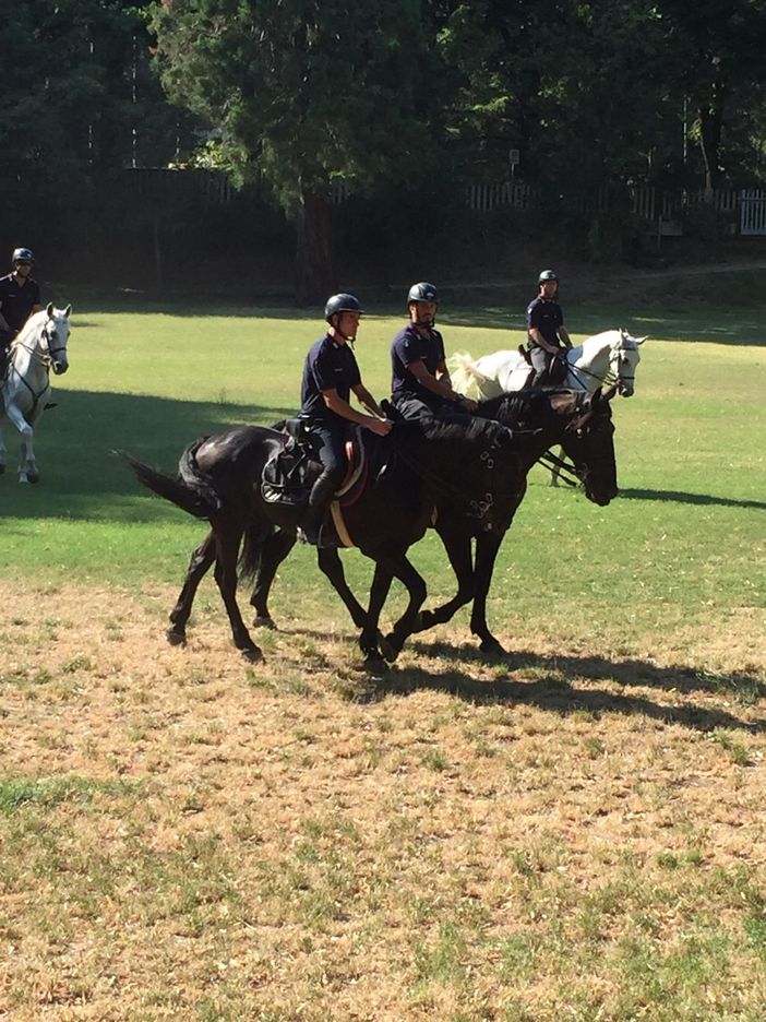 Oltrepo: controlli straordinari a Salice Terme effettuati dai Carabinieri a cavallo