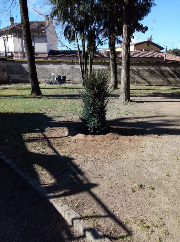 Gropello, il parco di Villa Cairoli messo in sicurezza e sistemato dopo la tempesta di vento di una decina di giorni fa