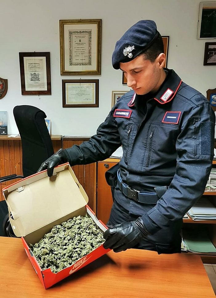 Casorate Primo: trovato in auto con 3 etti di marijuana, denunciato un 23enne Casorate Primo: trovato in auto con 3 etti di marijuana, denunciato un 23enne
